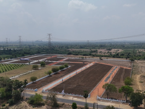 WhatsApp Image 2025 03 24 at 11.21.31 650363bf