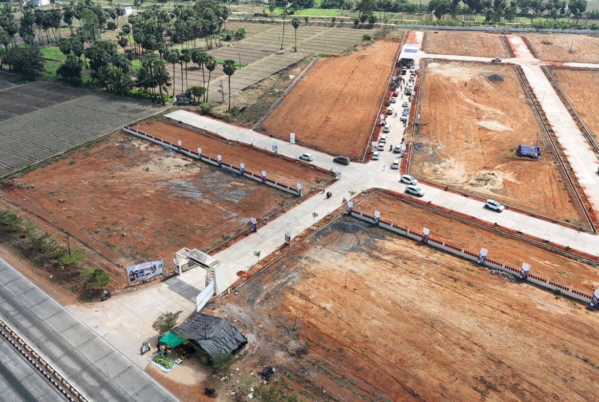DJI 20260221141118 0026 D.JPG