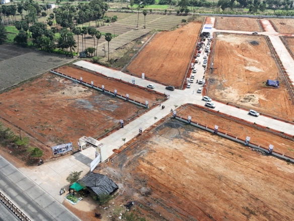 DJI 20260221141118 0026 D.JPG