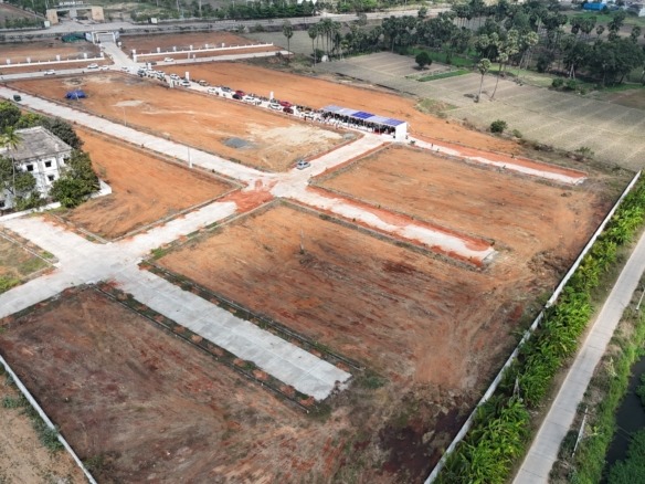 DJI 20260221141324 0033 D.JPG